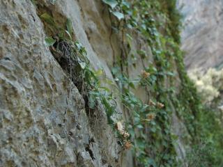 Img.VTax3285.ExN.Img6