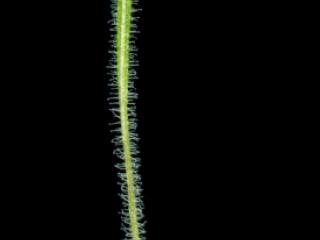 Img.VTax3317.ExN.Img10
