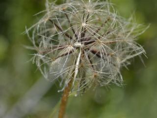 Img.VTax3317.ExN.Img16