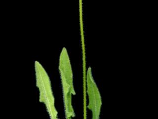 Img.VTax3317.ExN.Img7