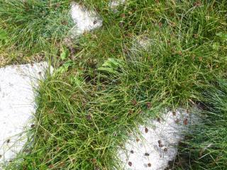 Img.VTax3753.ExN.Img3