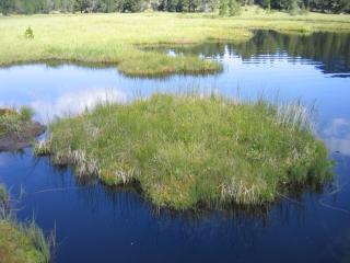 Img.VTax3772.ExN.Img2