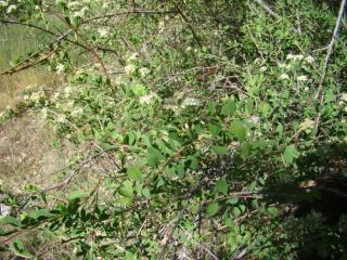 Img.VTax381.ExN.Img6