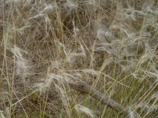 Img.VTax4120.ExN.Img3