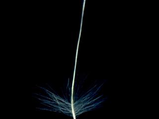 Img.VTax4120.ExN.Img6