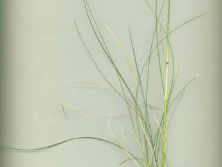 Img.VTax4128.ExN.Img6