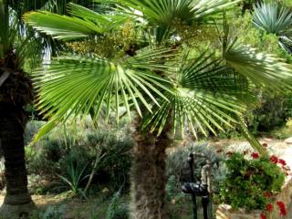 Img.VTax4314.ExN.Img3