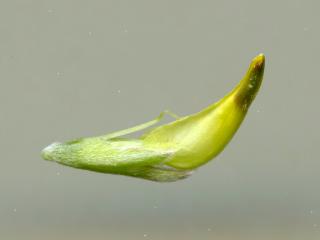 Img.VTax829.ExN.Img4