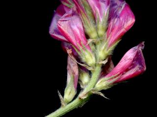 Img.VTax874.ExN.Img3