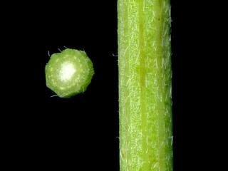 Img.VTax874.ExN.Img9