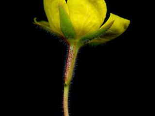 Img.VTax897.ExN.Img9