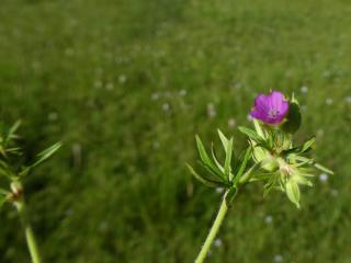 Img.VTax1371.ExN.Img20