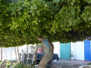 Img.VTax1477.ExN.Img11