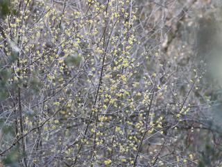 Img.VTax1492.ExN.Img14