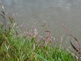 Img.VTax1818.ExN.Img6
