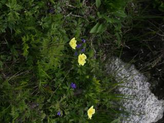 Img.VTax193.ExN.Img14
