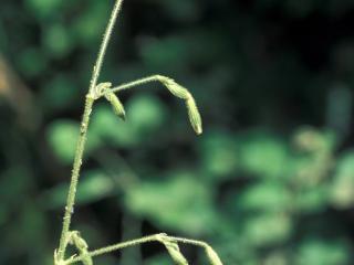 Img.VTax2012.ExN.Img3