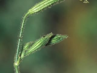 Img.VTax2012.ExN.Img4
