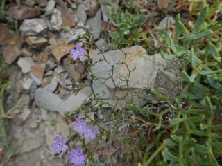 Img.VTax2216.ExN.Img11