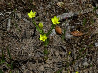 Img.VTax2261.ExN.Img8