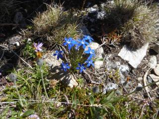 Img.VTax2274.ExN.Img3