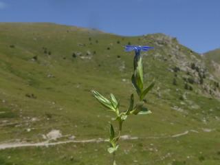 Img.VTax2274.ExN.Img4