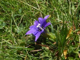 Img.VTax2275.ExN.Img8