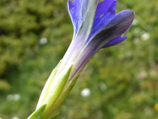 Img.VTax2275.ExN.Img9
