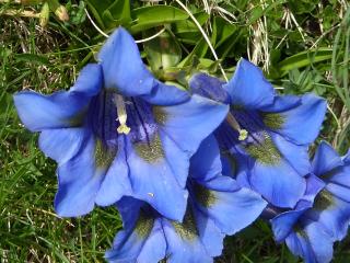 Img.VTax2279.ExN.Img15