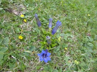 Img.VTax2279.ExN.Img16