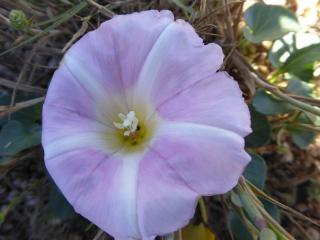 Img.VTax2297.ExN.Img7