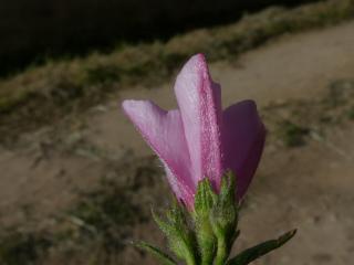 Img.VTax2308.ExN.Img18