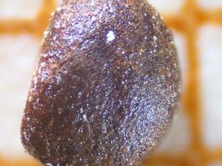 Img.VTax2390.ExN.Img21