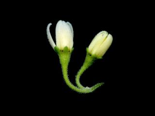 Img.VTax2567.ExN.Img16