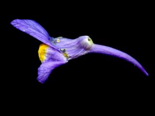 Img.VTax2624.ExN.Img14