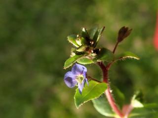 Img.VTax2675.ExN.Img9