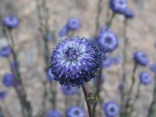 Img.VTax2775.ExN.Img28