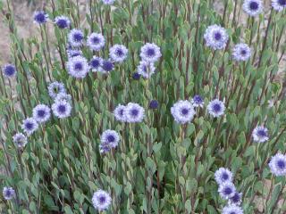 Img.VTax2775.ExN.Img29