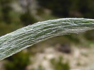 Img.VTax2797.ExN.Img9