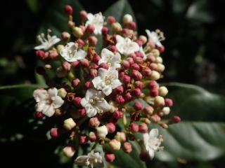 Img.VTax2866.ExN.Img37