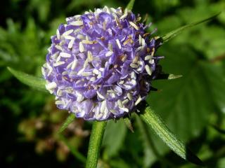 Img.VTax2909.ExN.Img25