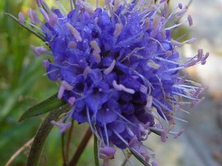 Img.VTax2909.ExN.Img28