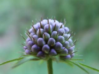 Img.VTax2909.ExN.Img31