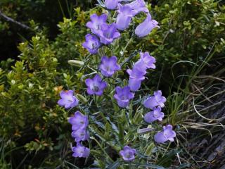 Img.VTax2940.ExN.Img13