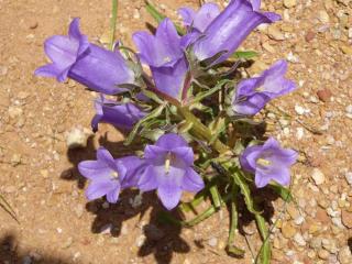Img.VTax2940.ExN.Img15