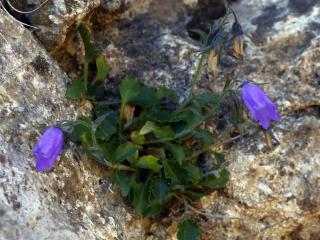 Img.VTax2949.ExN.Img2