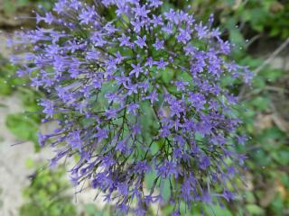 Img.VTax2963.ExN.Img6