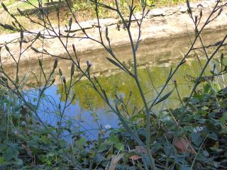 Img.VTax2991.ExN.Img17