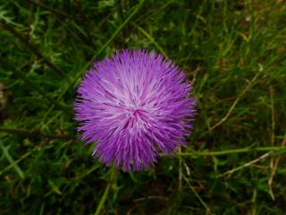 Img.VTax3250.ExN.Img19