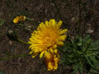 Img.VTax3311.ExN.Img26